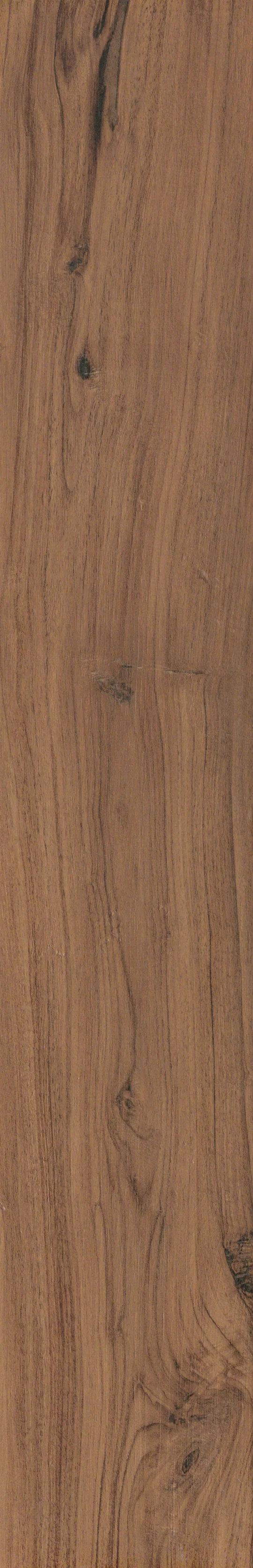 evoke brown
