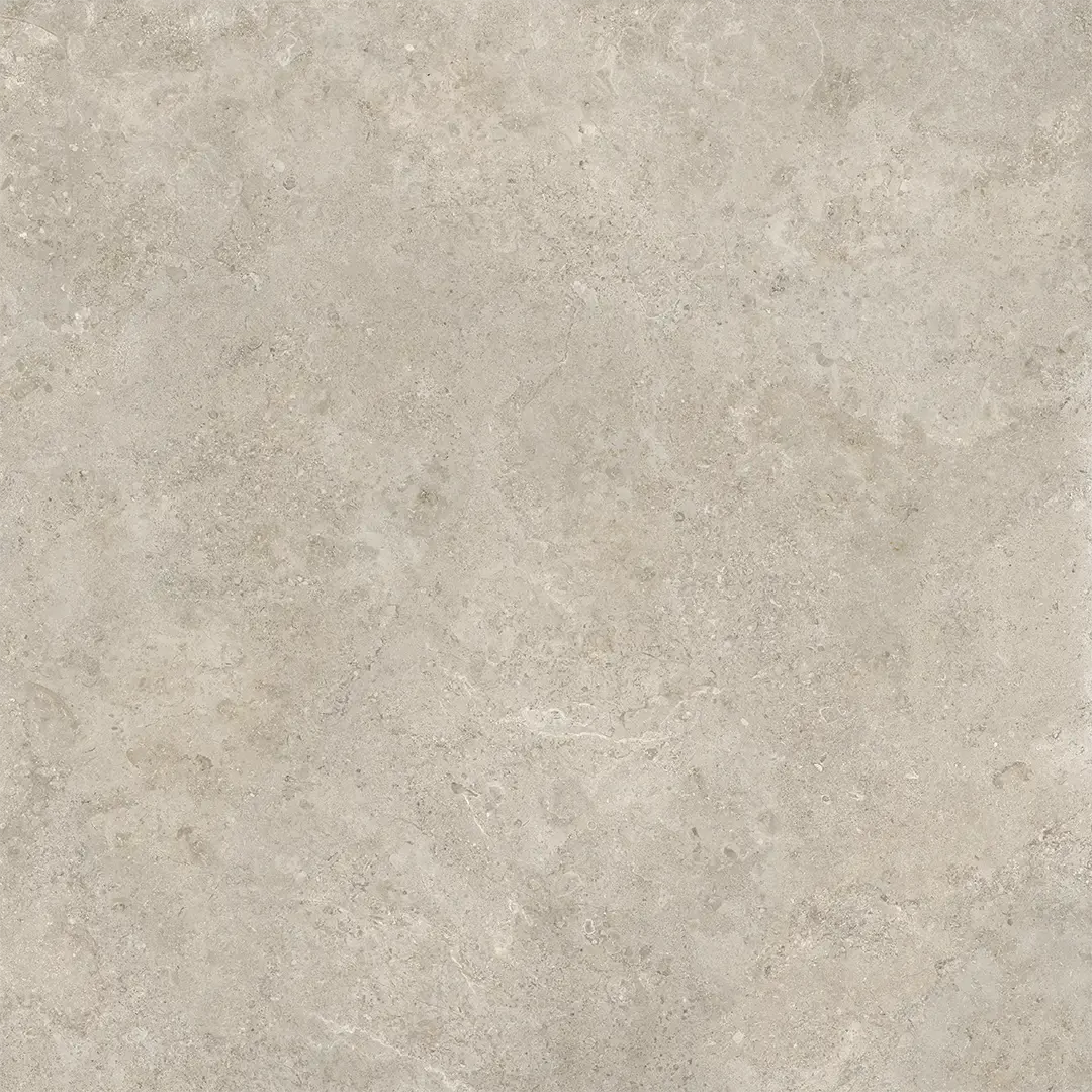 Grace Fossil Clay